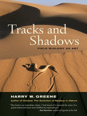 cover image of Tracks and Shadows